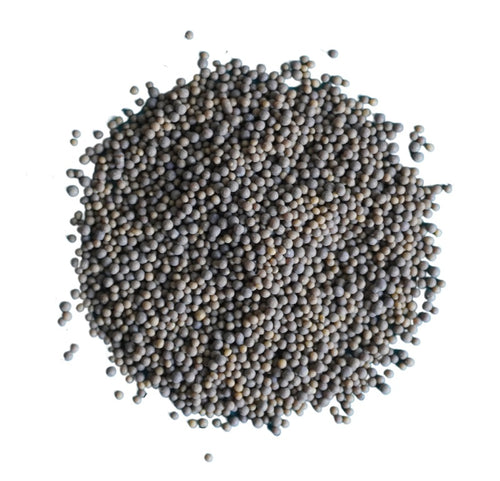 Ashwagandha KSM-66®