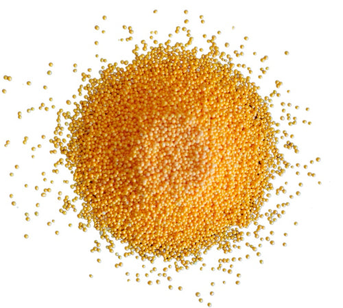 Coenzyme Q10