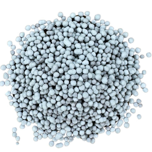 Probiotics - Bacillus coagulans Unique IS-2®
