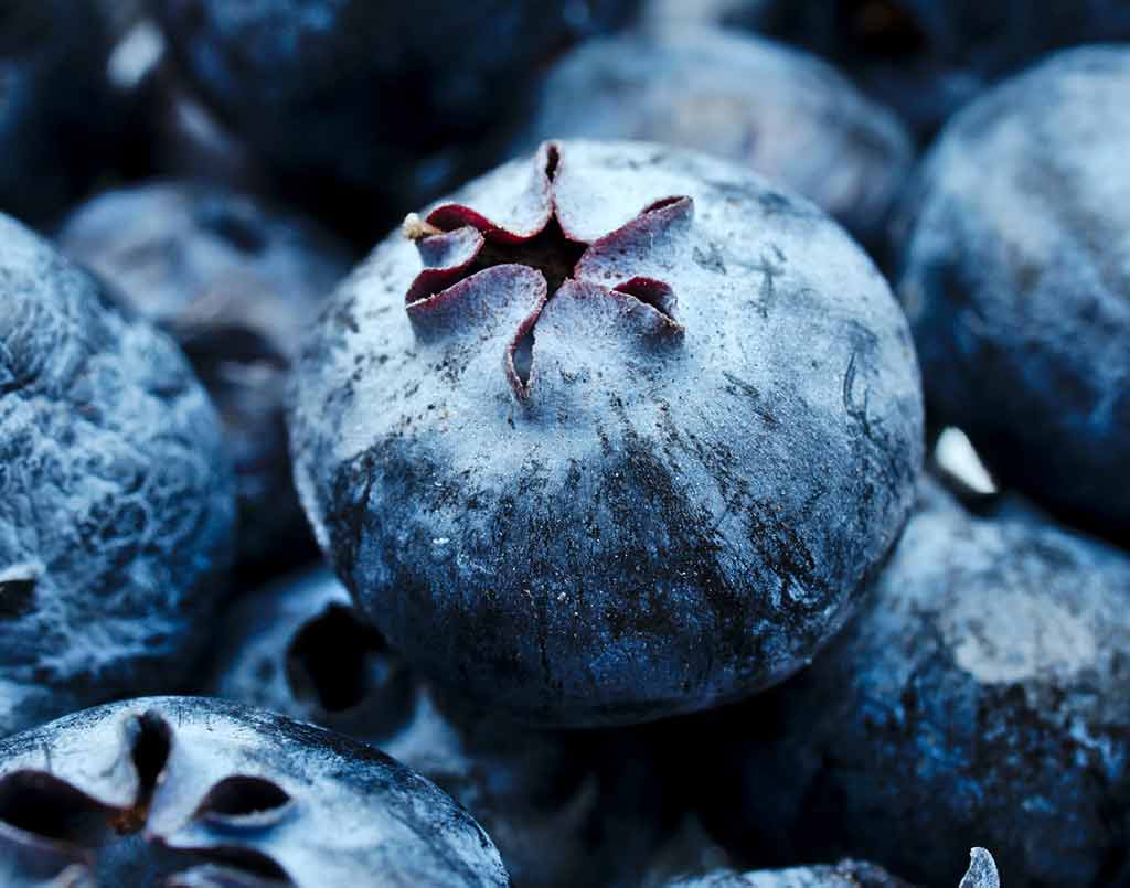 Antocyanin är ett fantastisk ämne som visat sig kunna förbättra hjärt- och kärlhälsan, motverka kognitiva försämringar i hjärnan och skydda levern och hjälpa mot dess förfettning