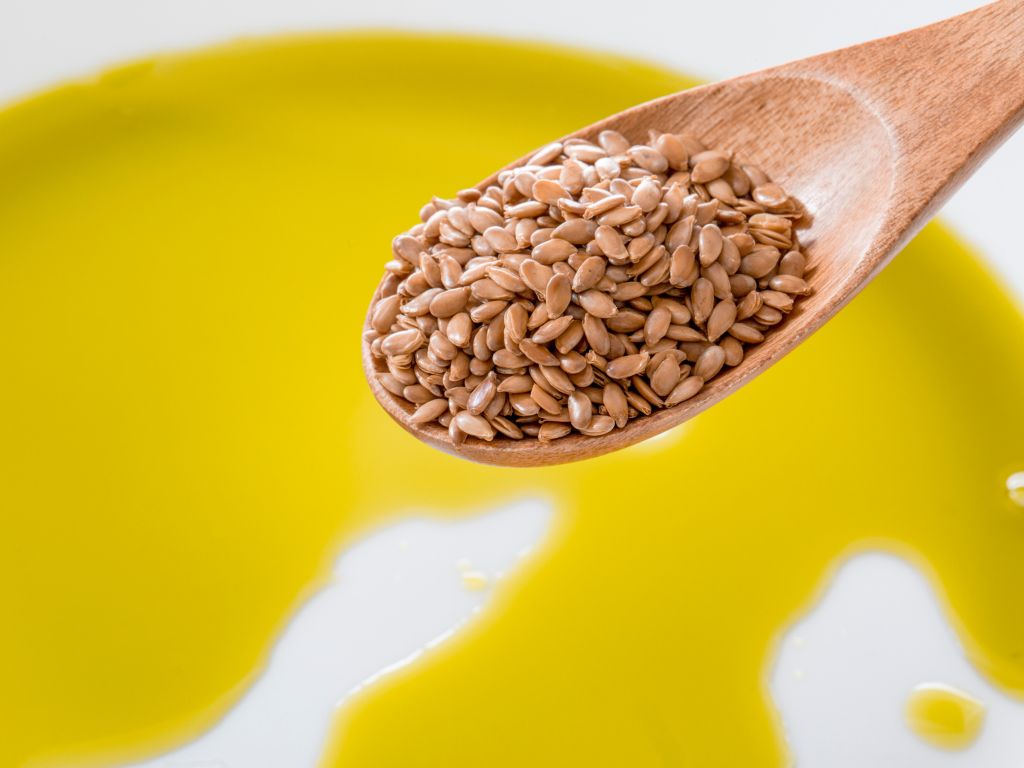 Bästa alternativen till fet fisk